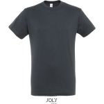 Herren T-Shirt - Regent - Mausgrau XL